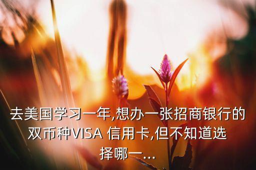 去美国学习一年,想办一张招商银行的双币种VISA 信用卡,但不知道选择哪一...