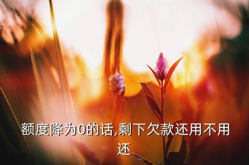 信用卡额度被调整到0元