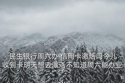  民生银行周六办 信用卡激活吗今儿收到卡明天想去激活不知道周六能办业...