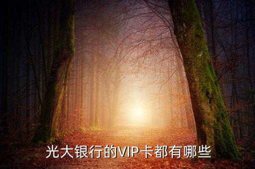 光大银行信用卡圣罗巴