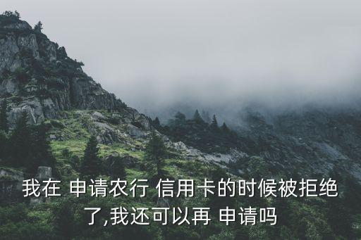 我在 申请农行 信用卡的时候被拒绝了,我还可以再 申请吗