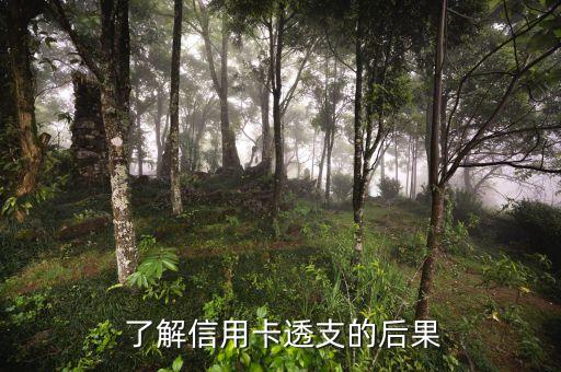 了解信用卡透支的后果