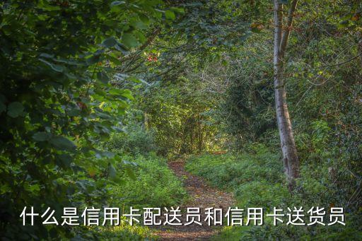 什么是信用卡配送员和信用卡送货员