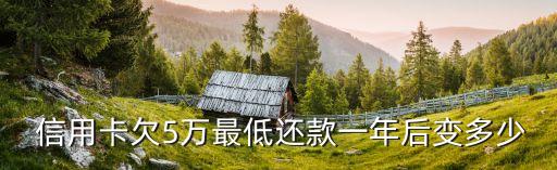  信用卡欠5万最低还款一年后变多少