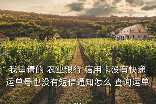 我申请的 农业银行 信用卡没有快递运单号也没有短信通知怎么 查询运单...