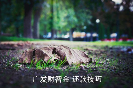  广发财智金 还款技巧