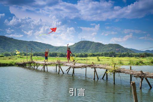 引言