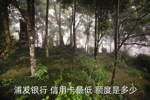  浦发银行 信用卡最低 额度是多少