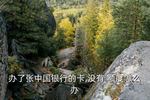 办了张中国银行的卡,没有 额度怎么办