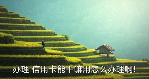 办理 信用卡能干嘛用怎么办理啊!
