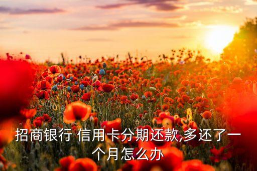 招商银行 信用卡分期还款,多还了一个月怎么办
