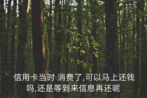  信用卡当时 消费了,可以马上还钱吗,还是等到来信息再还呢