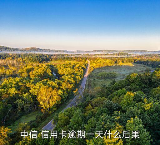 中信 信用卡逾期一天什么后果