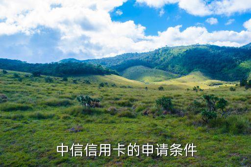 中信信用卡的申请条件