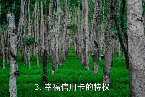 农行幸福信用卡，农行推出幸福信用卡