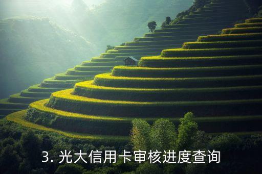 光大信用卡查询进度好不好，光大信用卡审核进度查询如何？