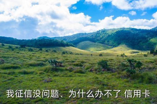 我征信没问题、为什么办不了 信用卡