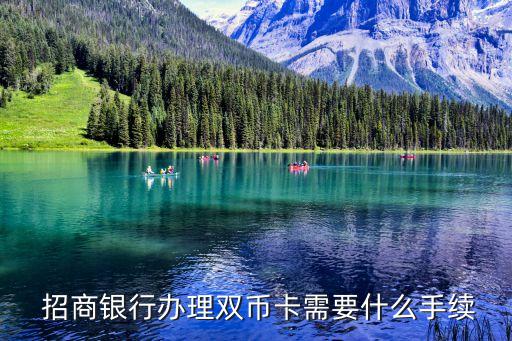  招商银行办理双币卡需要什么手续