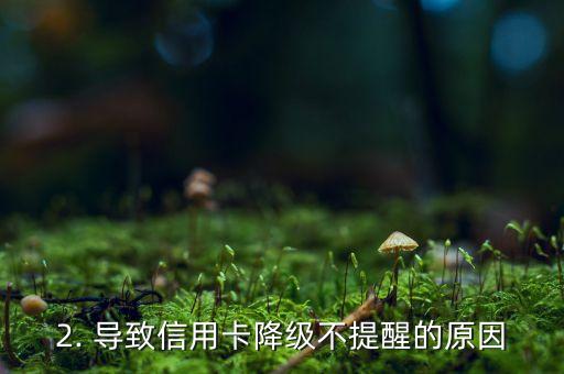 信用卡降级不提示，信用卡降级不提醒，导致持卡人不知不觉缴付高额年费