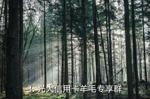 光大信用卡羊毛群，光大信用卡羊毛专享群
