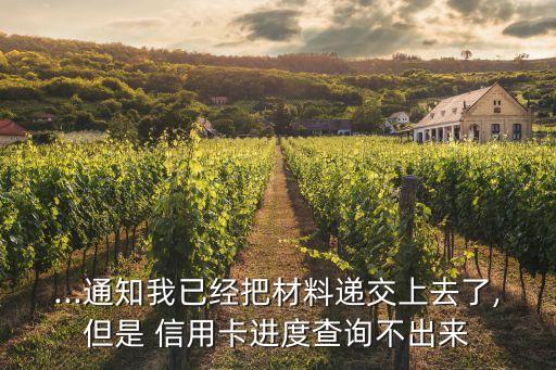 ...通知我已经把材料递交上去了,但是 信用卡进度查询不出来