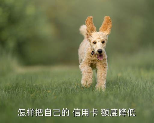 怎样把自己的 信用卡 额度降低