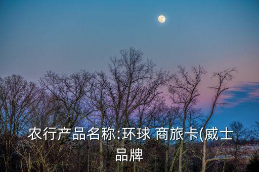  农行产品名称:环球 商旅卡(威士品牌