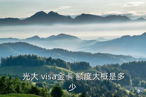  光大 visa金卡 额度大概是多少
