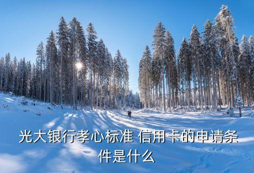  光大银行孝心标准 信用卡的申请条件是什么