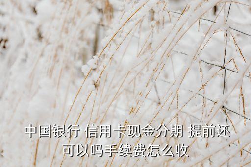  中国银行 信用卡现金分期 提前还可以吗手续费怎么收