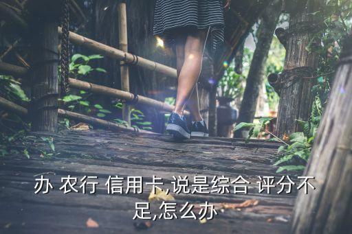 农行信用卡的申请评分