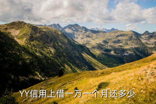 YY信用上借一万一个月还多少