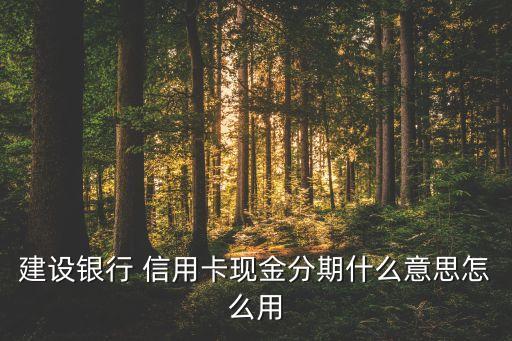 建行信用卡分期业务培训