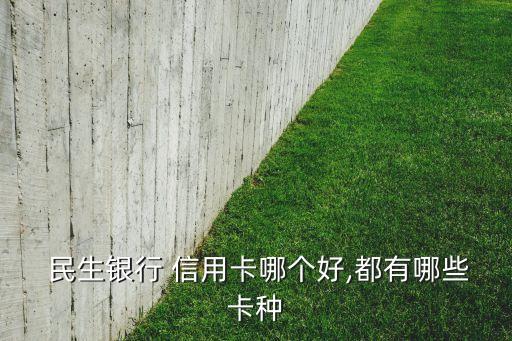 民生银行信用卡好套