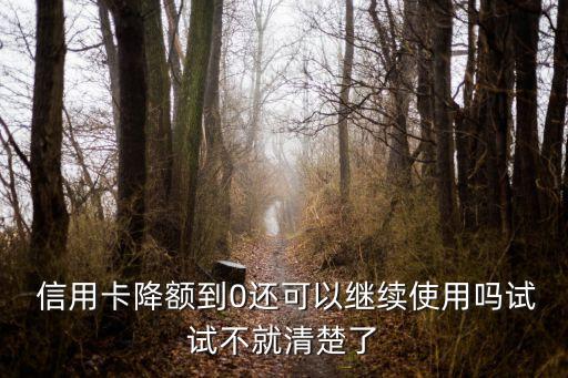  信用卡降额到0还可以继续使用吗试试不就清楚了
