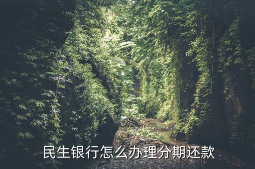  民生银行怎么办理分期还款