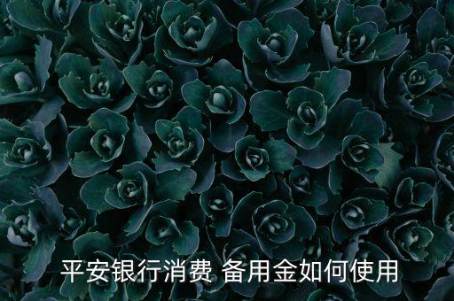  平安银行消费 备用金如何使用