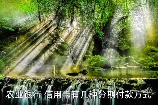 农业银行 信用卡有几种分期付款方式