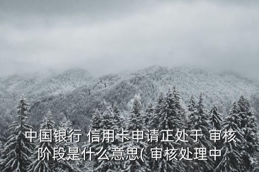 中国银行信用卡审核四天了,为什么中国银行信用卡审核不通过