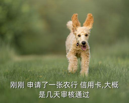 刚刚 申请了一张农行 信用卡,大概是几天审核通过