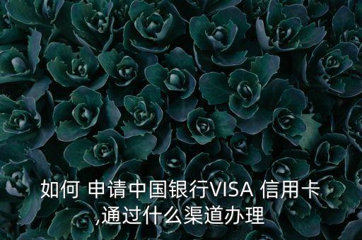 随机visa信用卡申请,申请visa信用卡需要什么条件