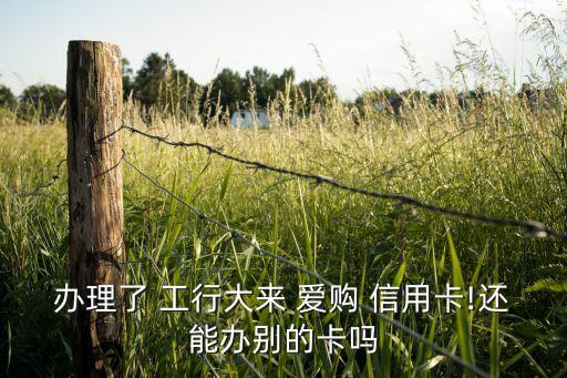 办理了 工行大来 爱购 信用卡!还能办别的卡吗