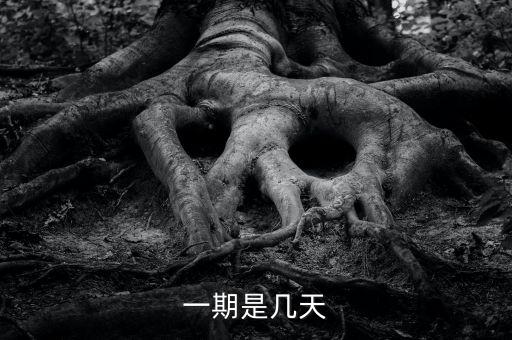 一般信用卡分期是多少天,信用卡分期1万12期每月多少
