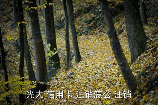 光大 信用卡 注销怎么 注销