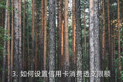 信用卡消费透支限额，信用卡消费透支限额——重新命名