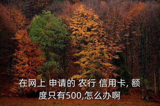 在网上 申请的 农行 信用卡, 额度只有500,怎么办啊