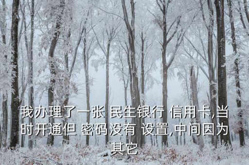 我办理了一张 民生银行 信用卡,当时开通但 密码没有 设置,中间因为其它