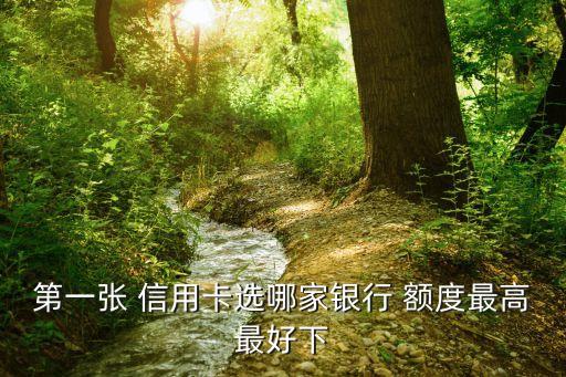 第一张 信用卡选哪家银行 额度最高最好下