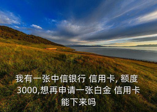 我有一张中信银行 信用卡, 额度 3000,想再申请一张白金 信用卡能下来吗