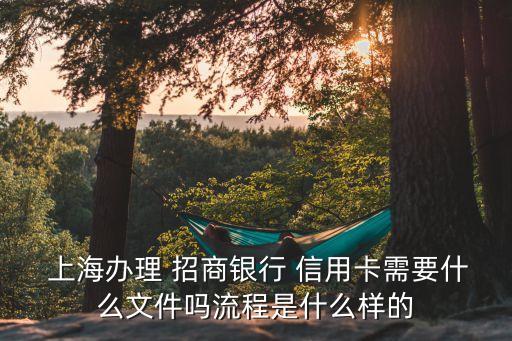 上海招商银行信用卡摊位,招商银行上海信用卡中心待遇